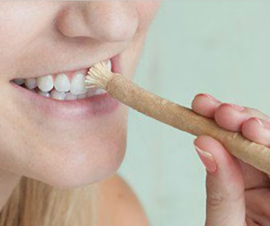 Discover the Benefits of Miswak Sewak Stick: An Introduction to Zenia Miswak Sticks