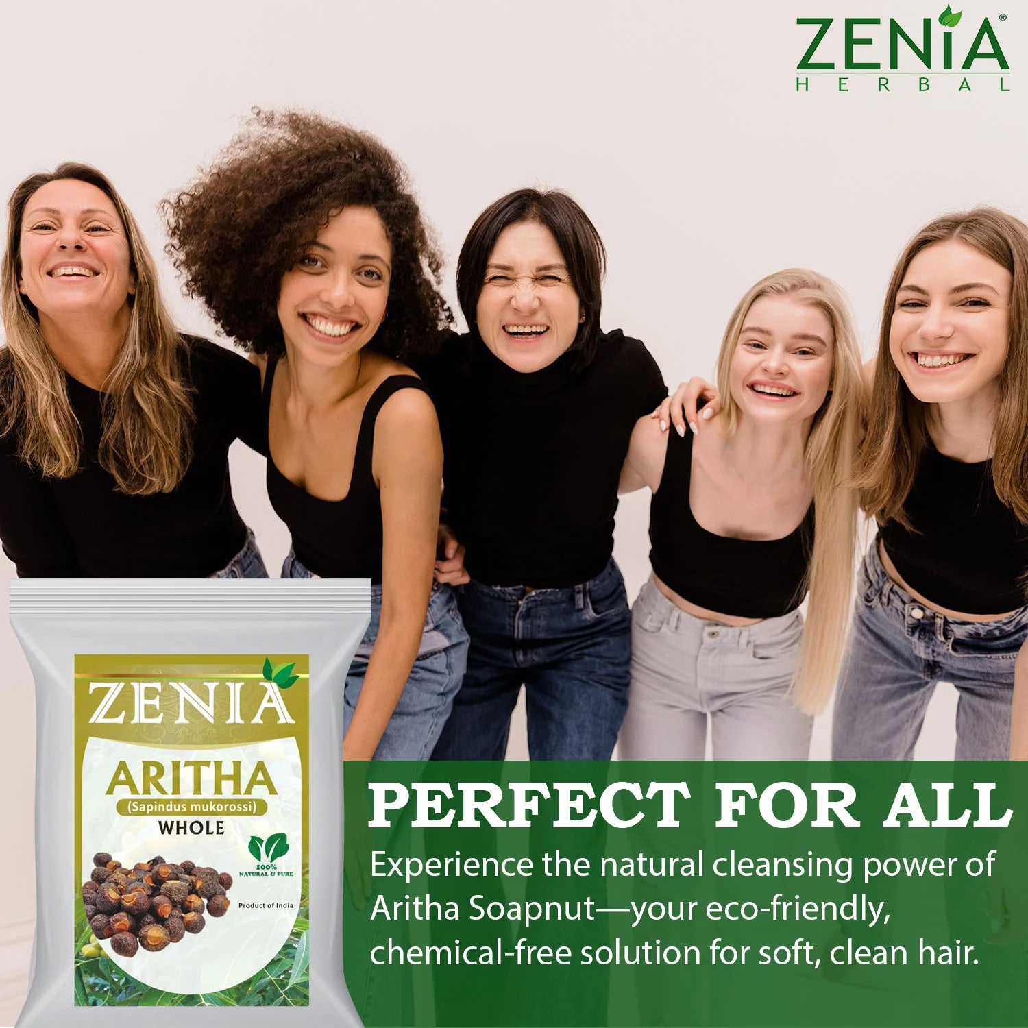 Zenia Whole Aritha Soapnut ritha Soap nut soapnut Hair Cleanser